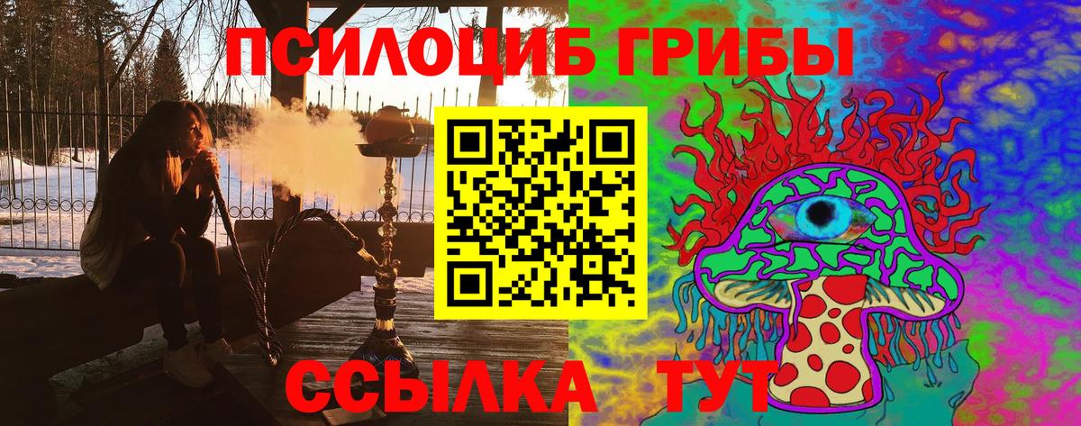 Псилоцибиновые грибы Psilocybe Ростов-на-Дону
