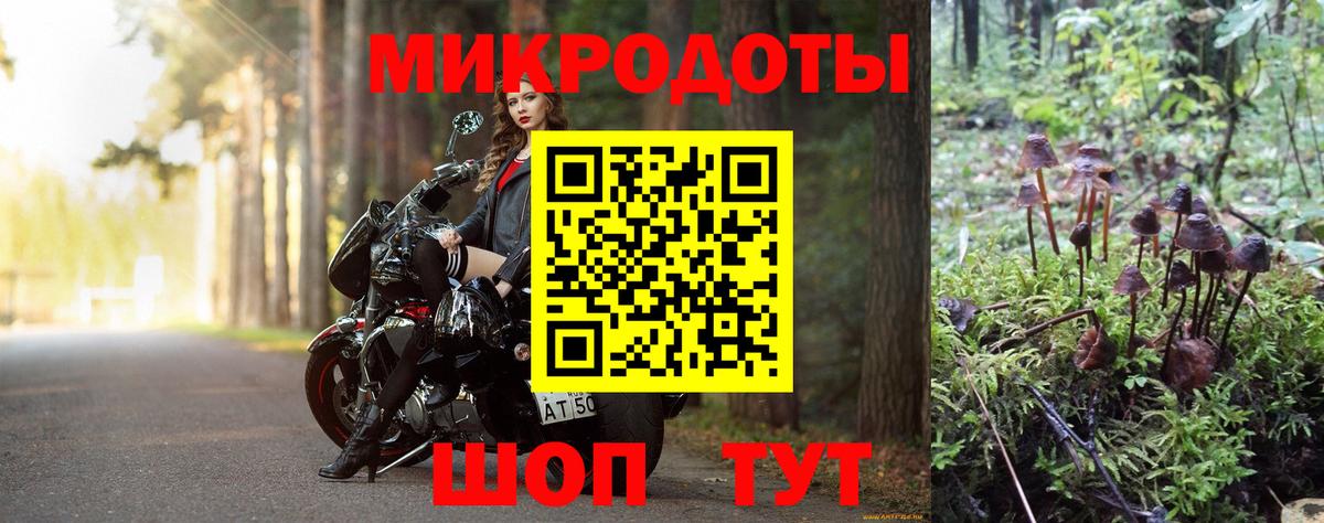 Ростов-на-Дону  Галлюциногенные грибы прущие грибы  Псилоцибиновые грибы ЛСД  Вход с VPN 